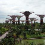 Сады будущего и супердеревья в сингапуре